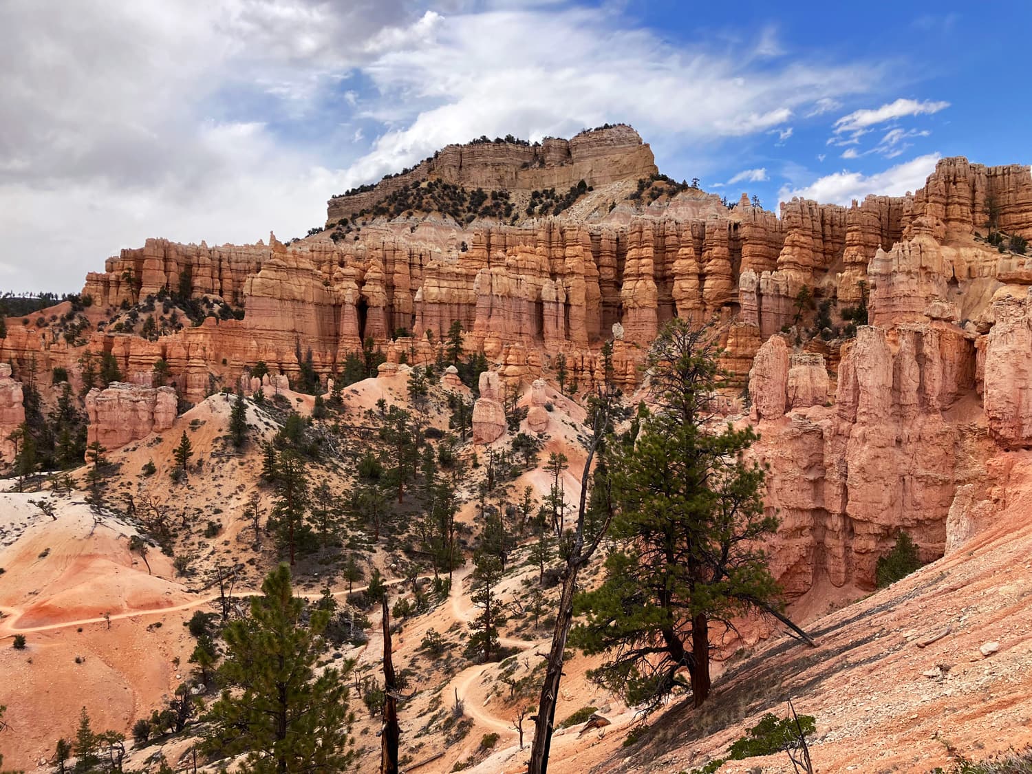 View along Fairyland Loop Trail