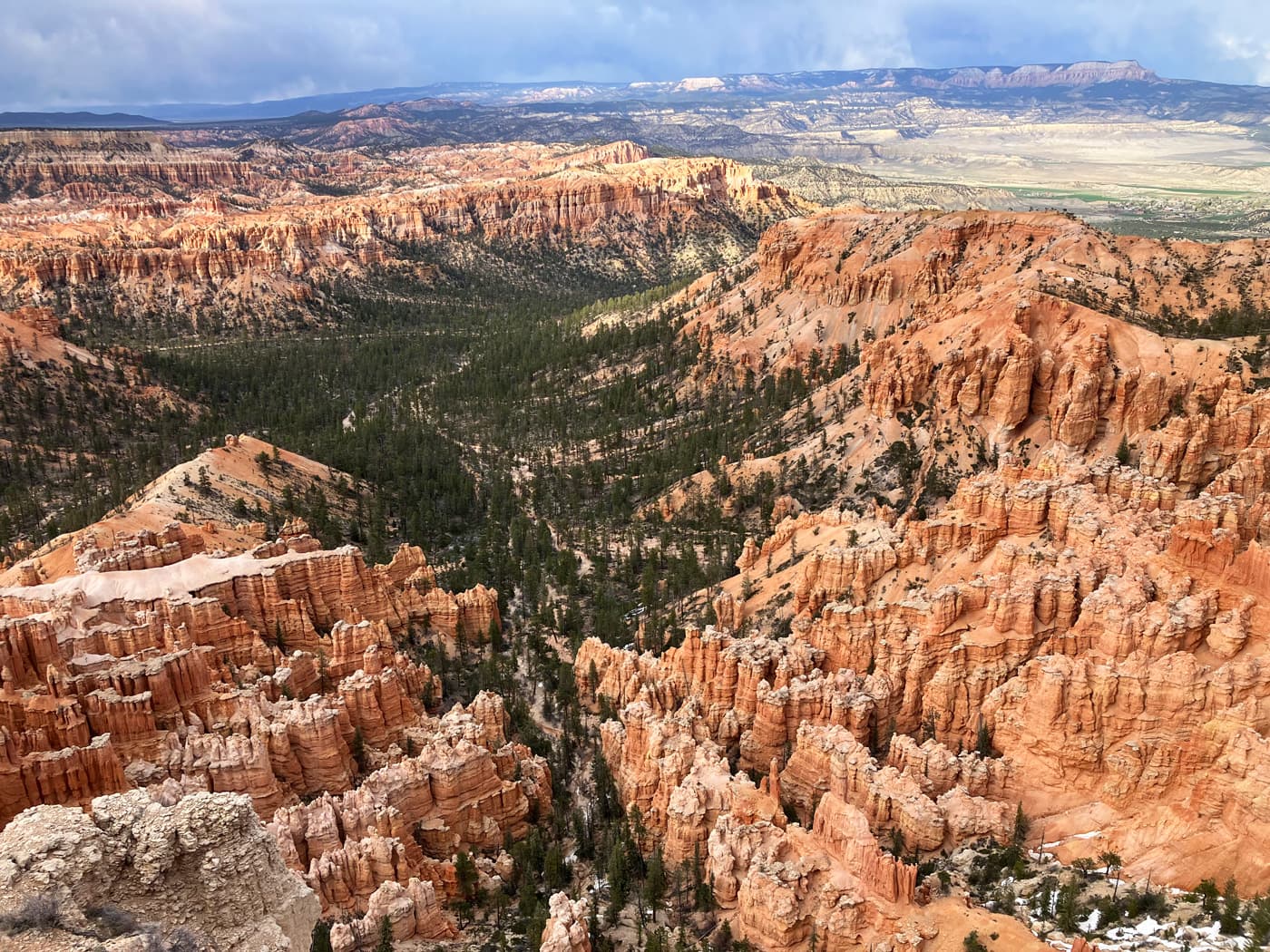 Forest view from Bryce Point
