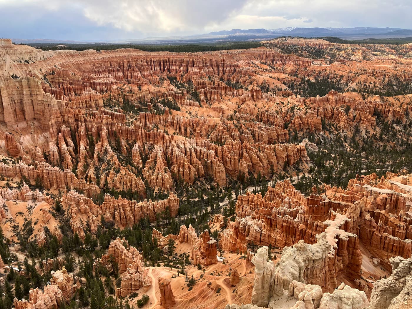 View from Bryce Point