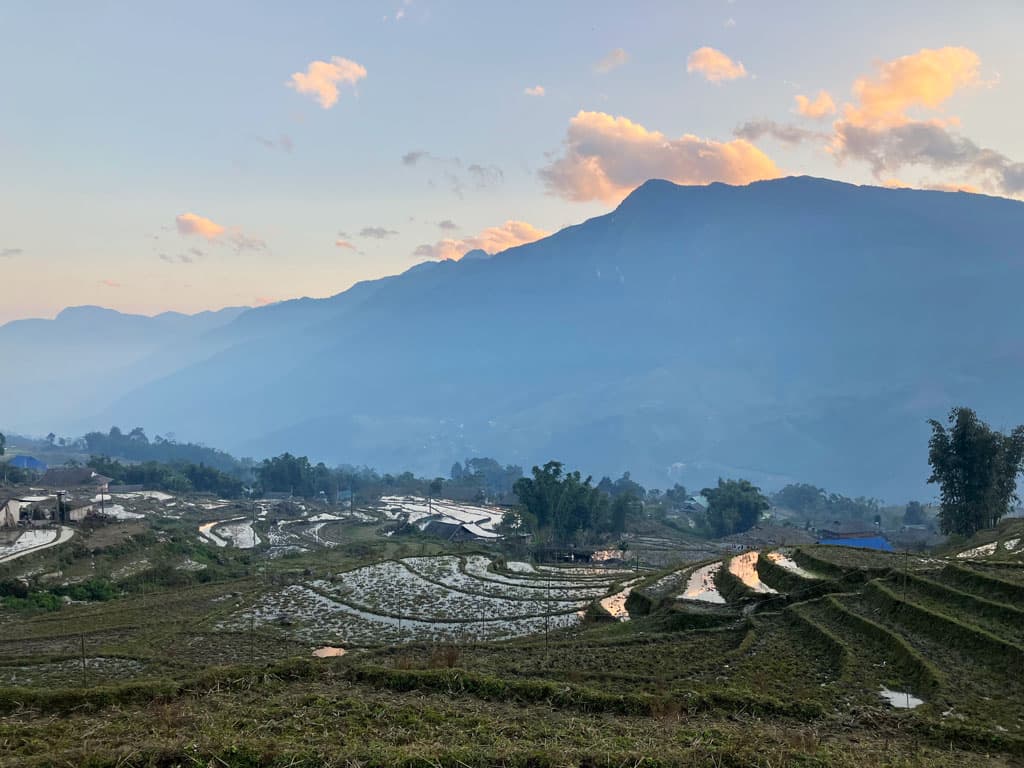 Rice paddies near my homestay in Sapa